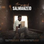 دانلود آهنگ سلمان زید برگرد